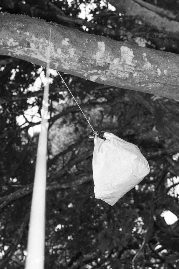 Igneous Reflective Cord