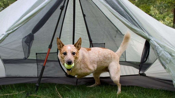 TARPTENT Dipole 1 Li