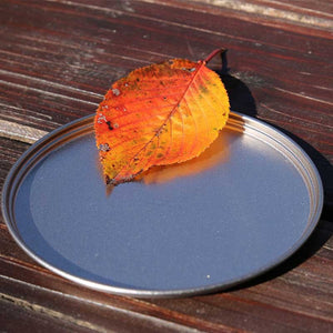 EVERNEW MulTidish - Lid for Ti Cup 400&760 (EBY280) - alternate view