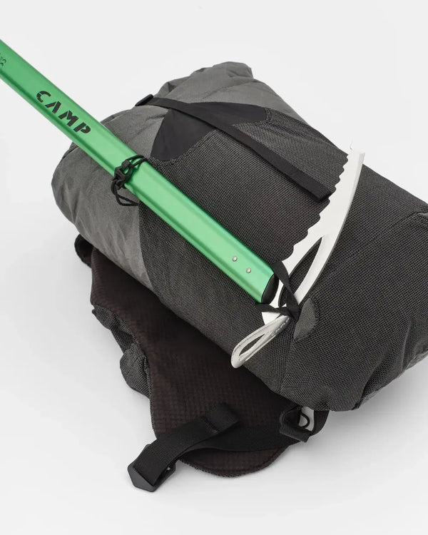 Pa’lante Mini Joey