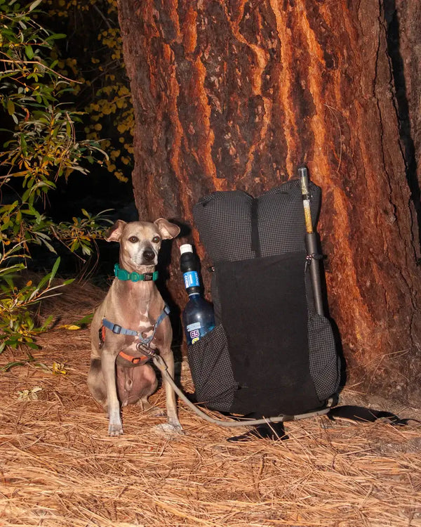 Pa’lante V2 with joey straps