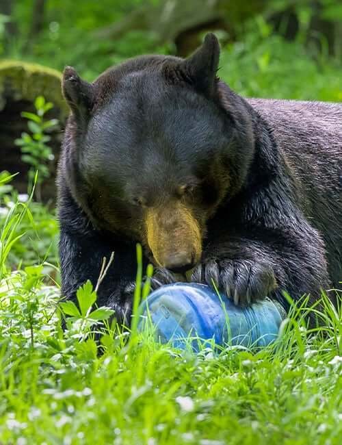 BearVault Food Canister BV475-Trek®