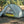 TARPTENT Double Rainbow Li