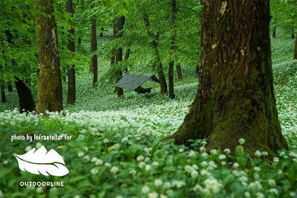 Warbonnet Outdoors MountainFly