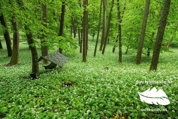 Warbonnet Outdoors MountainFly