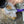 CNOC Buc Food Bag