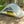 TARPTENT Double Rainbow DW Li