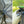 TARPTENT Double Rainbow DW Li