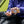 EVERNEW Aquajacket 333 ml SC bottle