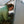 Gossamer Gear The One V2 – hiker in green jacket peeking out of the tent flap at sunrise