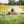 Gossamer Gear The Free