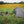 Gossamer Gear The Free