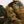 Ombraz REFUGIO Armless Sunglasses Regular size