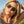 Ombraz VIALE Armless Sunglasses Regular size