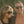 Ombraz VIALE Armless Sunglasses Regular size