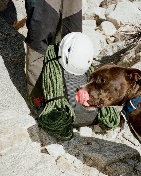 Pa’lante Alpine Pack