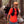 Pa’lante Turtle Pack