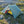 TARPTENT Dipole 2 DW