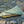 Tarptent ProTrek pitched, high-angle view on rocky ground