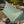 Tarptent ProTrek pitched, side view in evening light