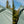 Tarptent ProTrek apex vent detail against the sky
