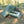 TARPTENT Rainbow DW