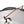 Hyperlite Mountain Gear Crosspeak 1