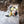 Hyperlite Mountain Gear Crux 40