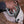 Hyperlite Mountain Gear Northrim 55L