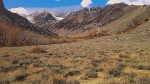 TARPTENT Rainbow Li - alternate view